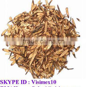 BRANCH CUT CASSIA FROM VIETNAM 100% ORIGIN