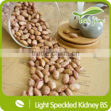 New arrival organic borlotti bean market price