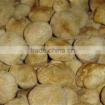 Frozen Shitake Mushroom photo-4