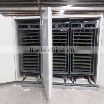 Best selling automatic poultry equipment