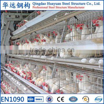 Pakistan Large Span Steel Structure Poultry Farm