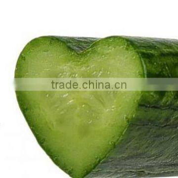 Heart Shaped Cucumber Mould photo-5