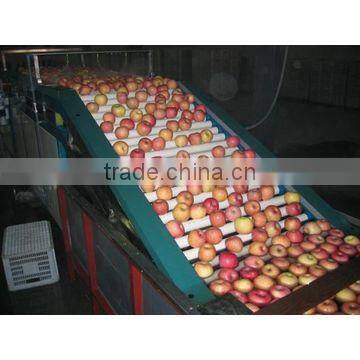 Fruit Selecting Machine/Fruit Pick Up Equipment photo-2