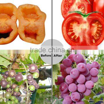 E27 24w Led Grow Light Marshydro Veg Flowerfull Spectrum Led Grow Light photo-6