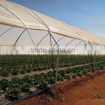 Tunnel-600 agricultural economical greenhouse