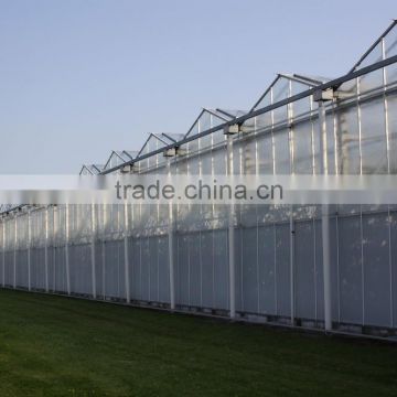 Complete Equipments Glass Greenhouse For Sale