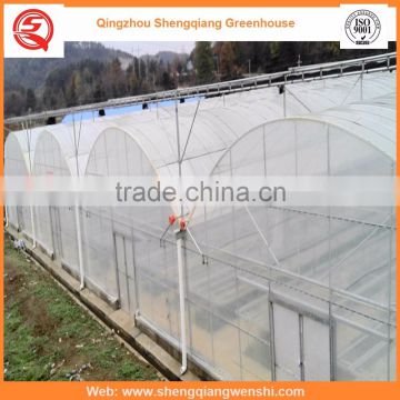 High quality 10.8m agriculture plastic film greenhouse for sale in China