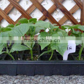 Custom Black Hydroponic Flood Tray photo-2