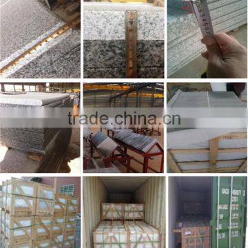 Natural Granite Tile Swimming Pool Coping photo-2