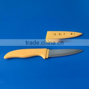 Stainless Steel Paring Knife