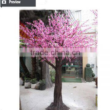 5m OEM Project Tree Artificial Plants Coconut Tree Garden Decoration Tropical Tree photo-4