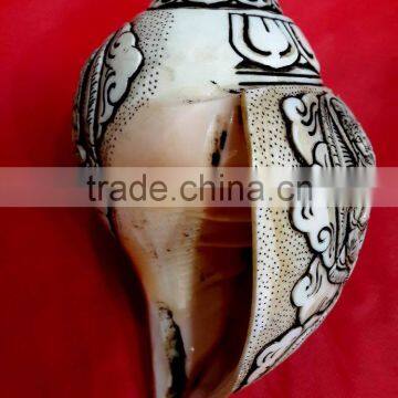Best Selling White Conch Deity Crafted Shankha photo-4
