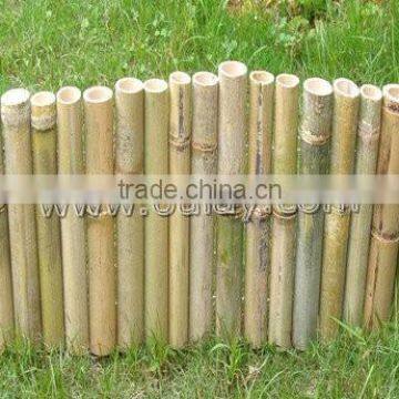 Cheap Bamboo Lawn Edge photo-5
