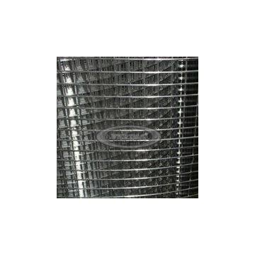 Welded Wire Mesh