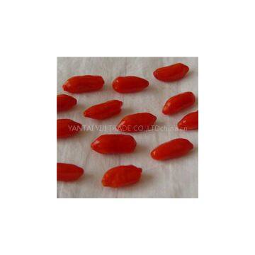 Inner Mongolia Organic GOJI