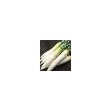 white radish