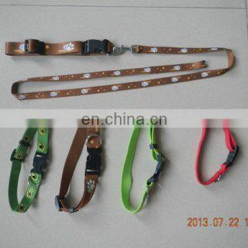 dog leashes & dog collars