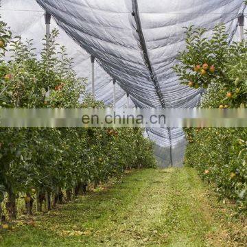 Special hot selling apple tree anti hail protection net with new hdpe