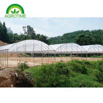 2019 High Strength Multispan Vegetables Greenhouse With Plastic Film for Sale photo-5