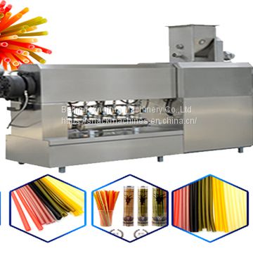 What is Biodegradable Rice Drinking Straw Processing Line?