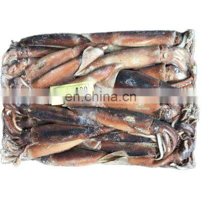 illex squid frozen illex squid whole round all size