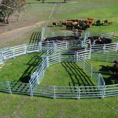 The Livestock Tubular Fence for Cattle Sheep Horses and Others photo-6