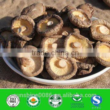 High Quality Dried Shiitake Mushroom From China