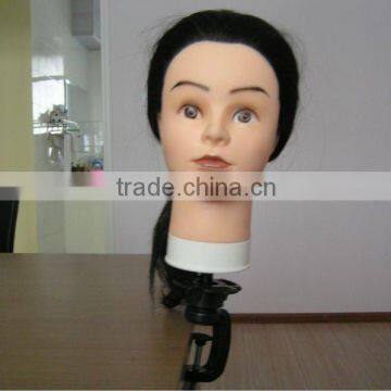 Best Quality Training Head With Holder