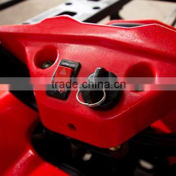 ATV250 Dumper photo-5