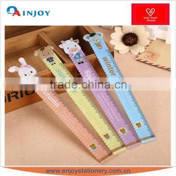 Plastic ruler for students