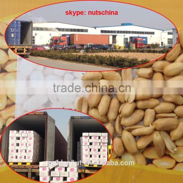 CHINESE SHANDONG ROASTED SALTED PEANUTS FOR IRAQ MARKET