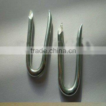 Barbed U-shape Nails/Square Bottom U Shaped Nail (ISO9001) Quality Choice photo-5