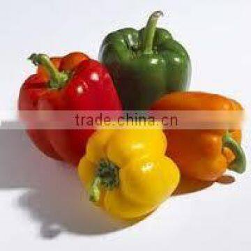 Oleoresin Capsicum photo-5