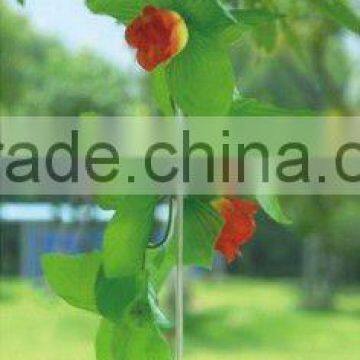 Solar hanging flower light(SO6213)