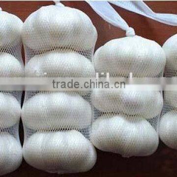 onion potato mesh bags