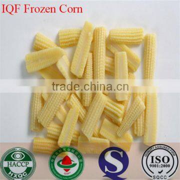 IQF Freezing Process and Frozen Style canned sweet kernel baby corn