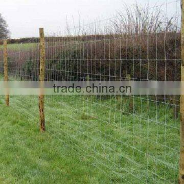 cattle feeding fence / mesh yard fence