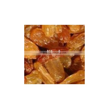 golden raisin-the king of dried friut