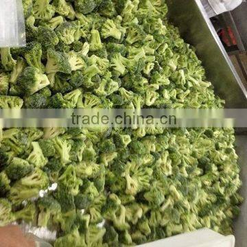 Hot Sell Frozen Fresh Broccoli Cut photo-3