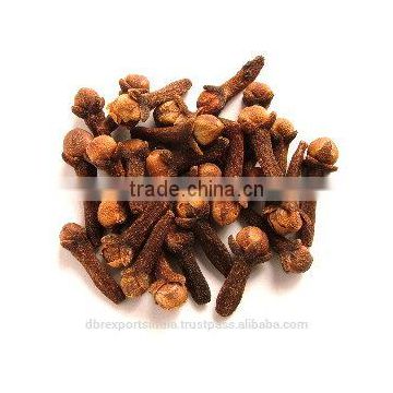 Co2 Clove Bud Oil in Bulk