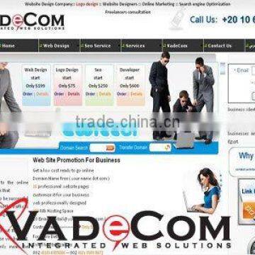 Website Design
