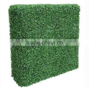 Hot sale boxwood hedge wall for garden decoration