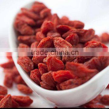 high quality Goji berry/prior wolfberry/bulkdried gojiberry/china