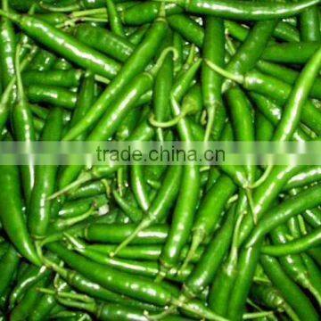 Green Chilli