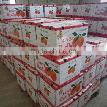 carton package navel orange