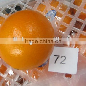 super quality cheaper price navel orange