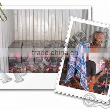 Fire Lighter without Ignition Supplier from India