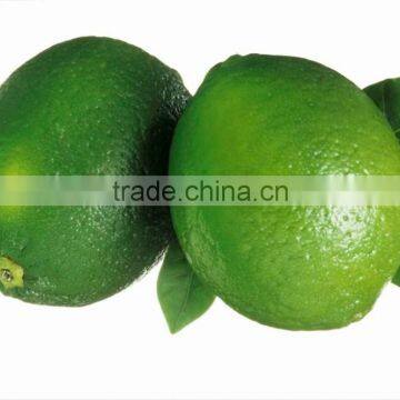 Low Price Citrus Aurantium Extract: 95% HESPERIDIN Extract Powder photo-4