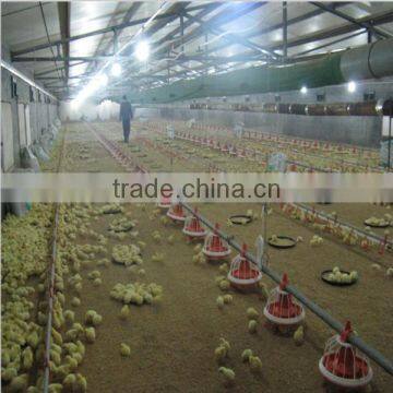 broiler chicken rate poultry farming for broiler