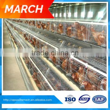 farming layer cage for chicken farm for sri lanka